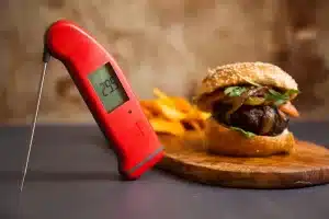 Thermometers and Controllers