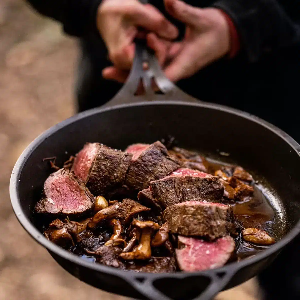 Solidteknics Iron Skillet